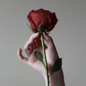 Single Stem