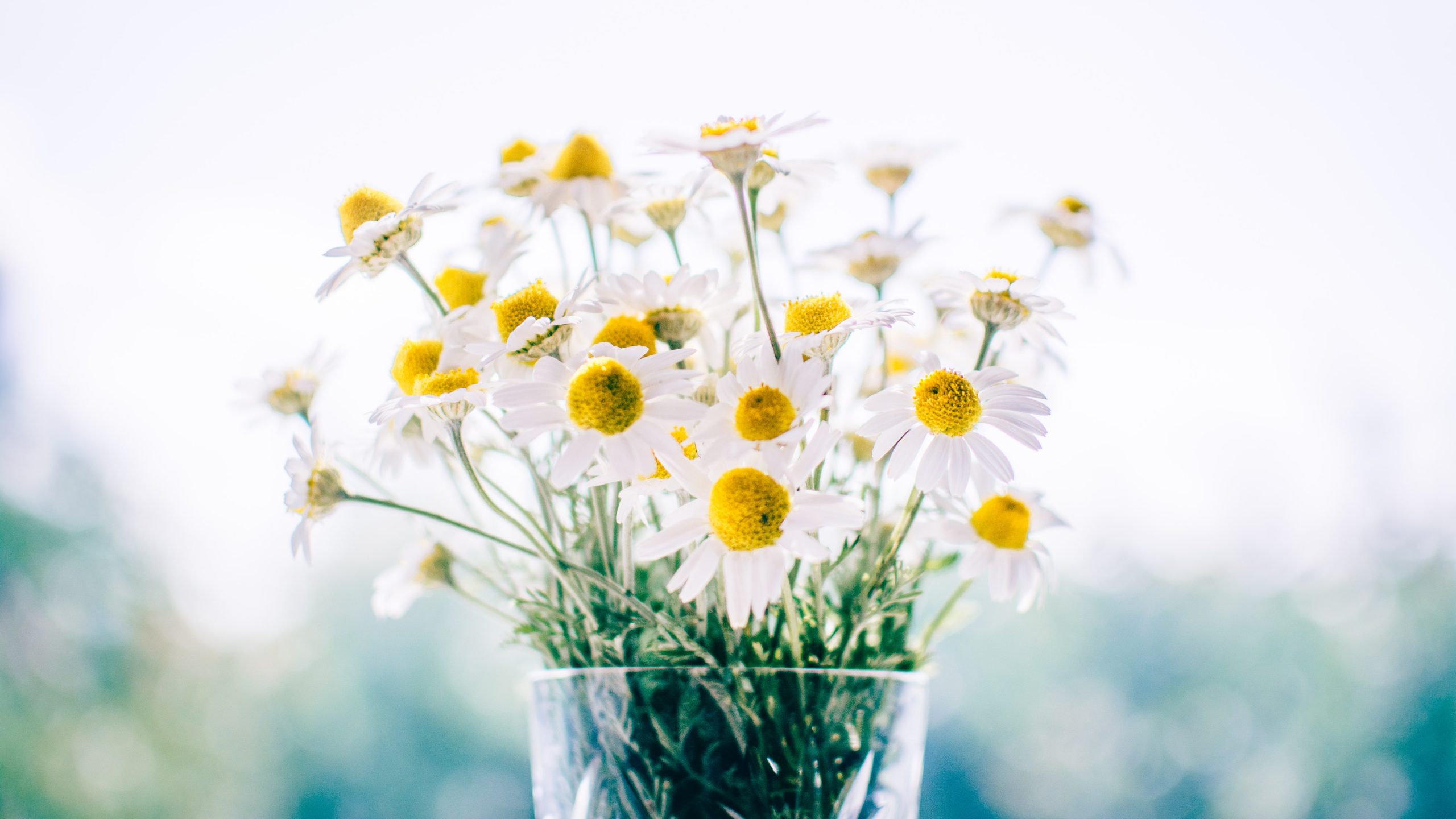 custom_bouquets_unsplash
